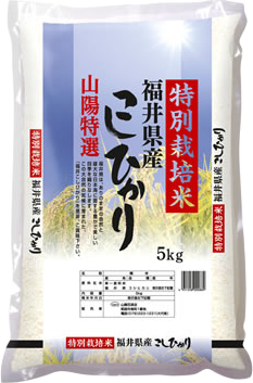 特別栽培米 福井県産 こしひかり