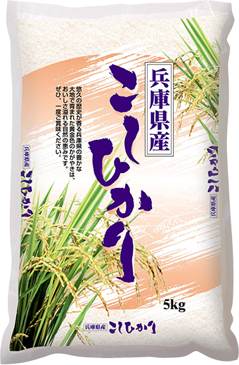 兵庫県産　こしひかり
